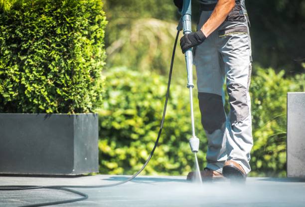 Best Sidewalk and Walkway Cleaning  in Hibbing, MN